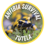 anfibia survival logo